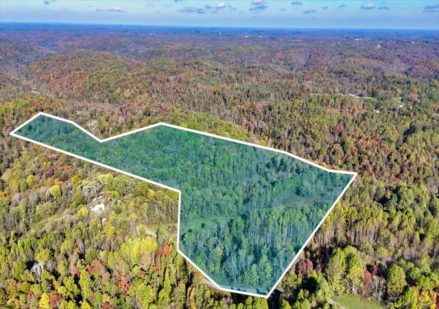2nd image of 0 Patch Ln, Bethpage, TN 37022 | MLS# 3071786
