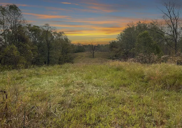 1st image of 0 Patch Ln, Bethpage, TN 37022 | MLS# 3071786