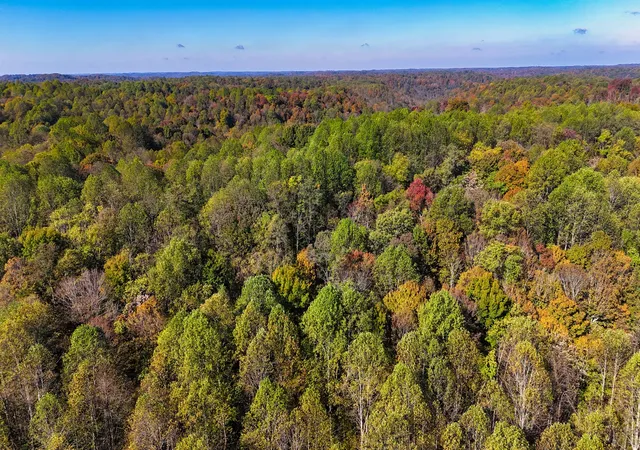3rd image of 0 Patch Ln, Bethpage, TN 37022 | MLS# 3071786