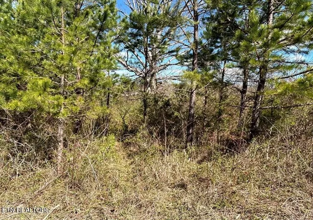 2nd image of 0 Holt Spur Dr, Jamestown, TN 38556 | MLS# 3069269