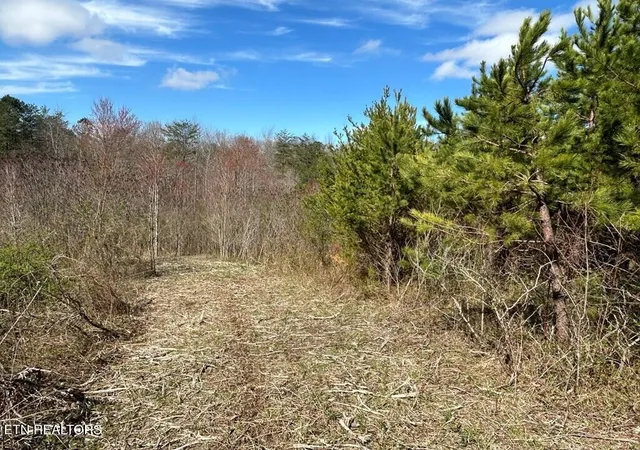 3rd image of 0 Holt Spur Dr, Jamestown, TN 38556 | MLS# 3069269