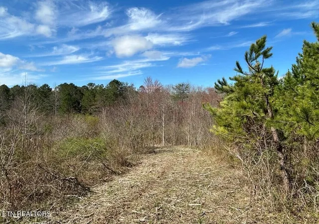 4th image of 0 Holt Spur Dr, Jamestown, TN 38556 | MLS# 3069269