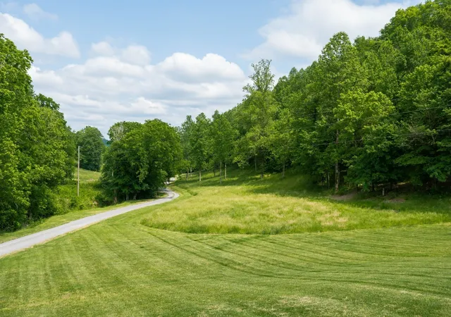 Photo 2 of Single Family Residence at 250 Woodard Holw Ln, Gainesboro, TN 38562 | MLS# 3069775 | | Sold on 2026-04-10