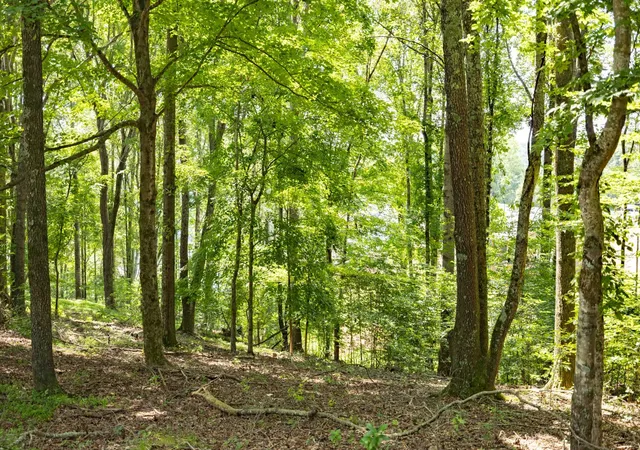 Photo 3 of Land for sale at 0 E Rockcrest Cir, Winchester, TN 37398 | MLS# 3170071 | Listing updated on 2026-04-21