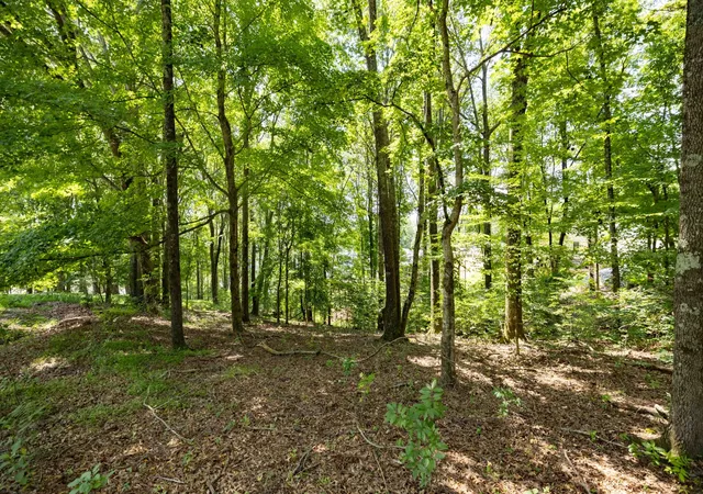 Photo 3 of Land for sale at 0 E Rockcrest Cir, Winchester, TN 37398 | MLS# 3170071 | Listing updated on 2026-04-21