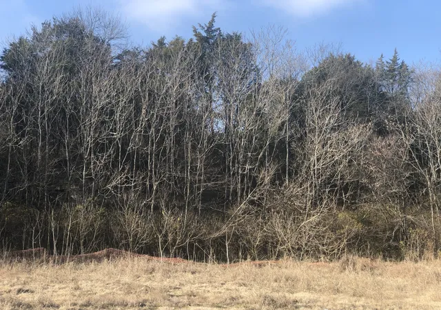 Photo 3 of Land for sale at 433 Old Hickory Blvd, Antioch, TN 37013 | MLS# 3072964 | Listing updated on 2026-01-06