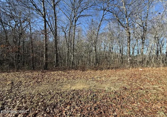 Homes for sale in Jamestown, TN | 0 Georgee Rd, Jamestown, TN 38556 | MLS# 3070209