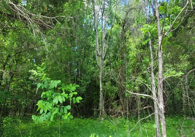 2nd image of 2323 College St, Spencer, TN 38585 | MLS# 3070966