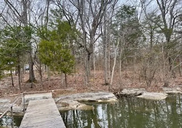 4th image of 164 Odoms Bnd Rd, Gallatin, TN 37066 | MLS# 3071582