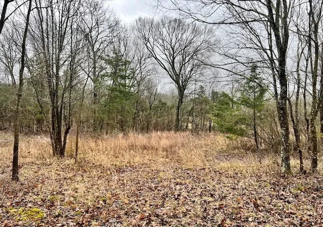 4th image of 0 Old Shannon Rd, Lebanon, TN 37090 | MLS# 3071369