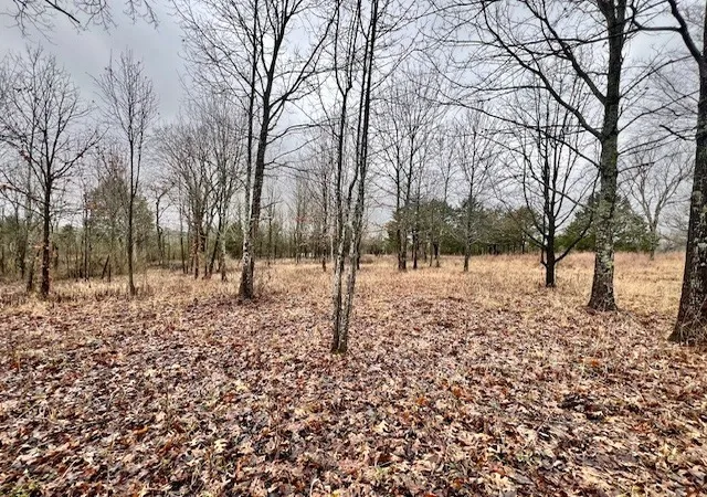 5th image of 0 Old Shannon Rd, Lebanon, TN 37090 | MLS# 3071369