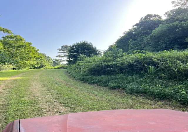 2nd image of 0 E Cave Spring Rd, Pulaski, TN 38478 | MLS# 3072823