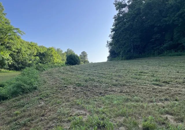 93rd image of 0 E Cave Spring Rd, Pulaski, TN 38478 | MLS# 3072823