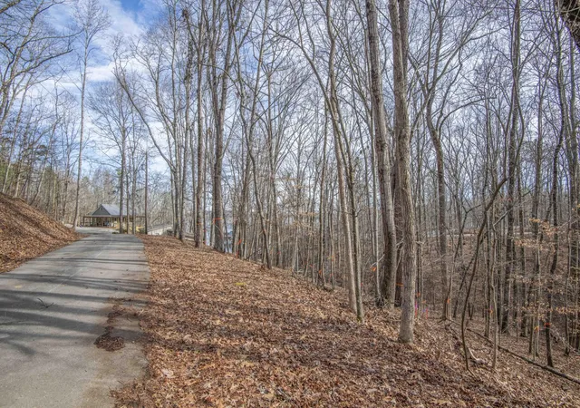 Photo 1 of Sale Pending at 0 Sunset Ct, Spring City, TN 37381 | MLS# 3304366 | Listing updated on 2026-09-17
