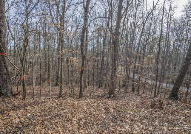 Photo 3 of Sale Pending at 0 Sunset Ct, Spring City, TN 37381 | MLS# 3304366 | Listing updated on 2026-09-17