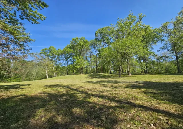 Homes for sale in Bath Springs, TN | 6 Island View Dr, Bath Springs, TN 38311 | MLS# 3072378