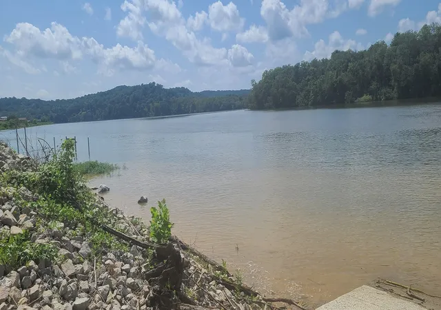 Homes for sale in Clifton, TN | 2485 Hardin Bottom River Rd, Clifton, TN 38425 | MLS# 3072601