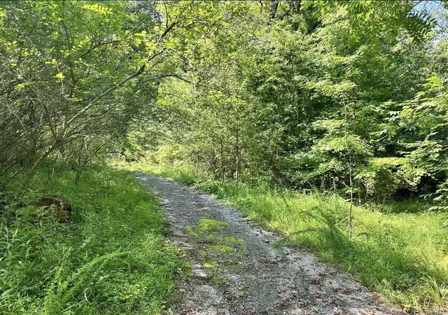 3rd image of 77 Waterlevel Hwy E, Cleveland, TN 37323 | MLS# 3214705