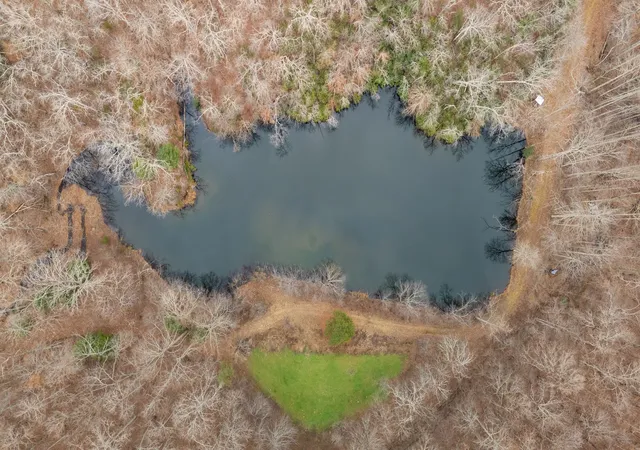 2nd image of 942 Rockhouse Road, Hohenwald, TN 38462 | MLS# 3072421