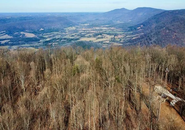 2nd image of 654 Briley Road, Spring City, TN 37381 | MLS# 3304340