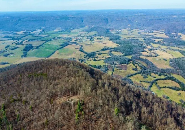 25th image of 654 Briley Road, Spring City, TN 37381 | MLS# 3304340