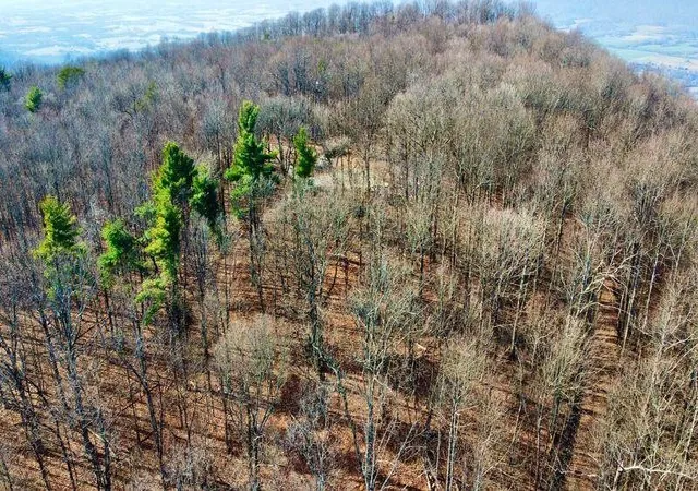 Photo 3 of Sale Pending at 654 Briley Rd, Spring City, TN 37381 | MLS# 3304340 | Listing updated on 2026-08-13
