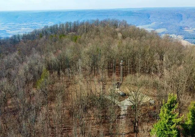 Photo 3 of Sale Pending at 654 Briley Rd, Spring City, TN 37381 | MLS# 3304340 | Listing updated on 2026-08-13