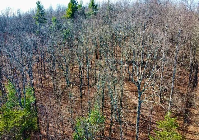 Photo 4 of Sale Pending at 654 Briley Rd, Spring City, TN 37381 | MLS# 3304340 | Listing updated on 2026-08-13