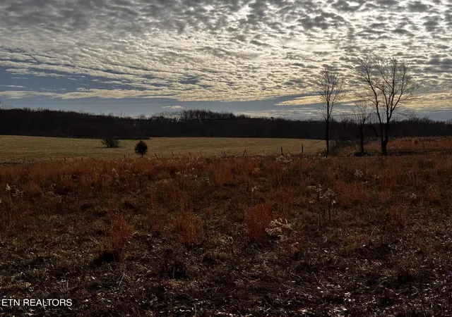 Photo 3 of Sale Pending at 0 Smith Mountain Rd, Rockwood, TN 37854 | MLS# 3072804 | Listing updated on 2026-07-06