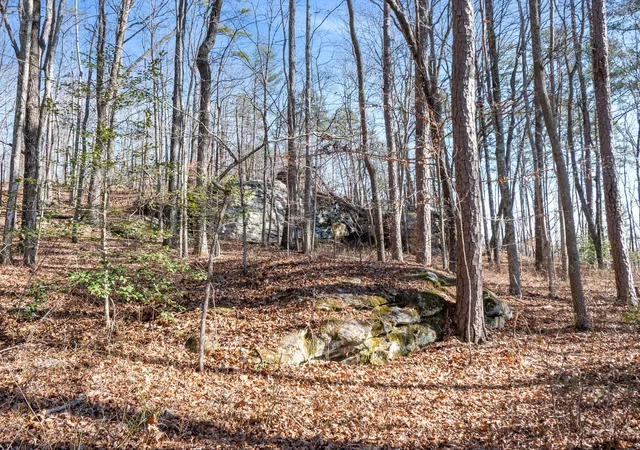 Photo 1 of Land for sale at 0 Tall Tree Trl, Dunlap, TN 37327 | MLS# 3599494 | Listing updated on 2026-09-25