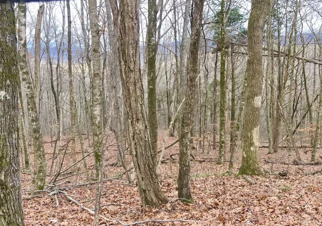 1st image of 0 Monterey Hwy, Monterey, TN 38574 | MLS# 3080418