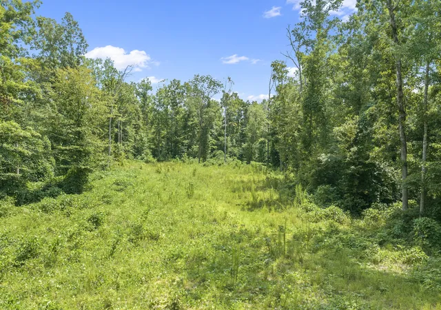 Photo 2 of Land for sale at 0 Holladay Rd, Parsons, TN 38363 | MLS# 3078780 | Listing updated on 2026-08-11