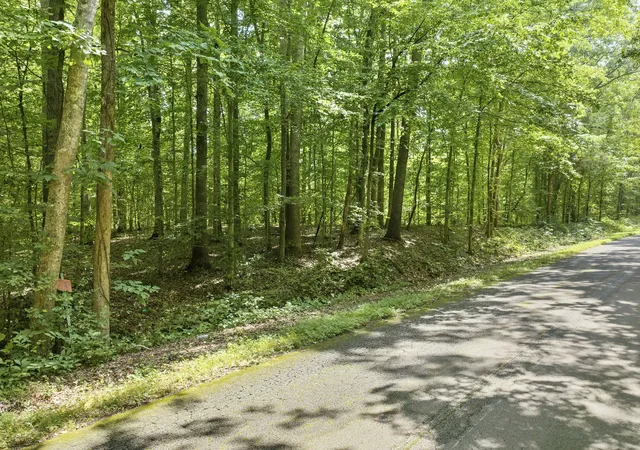 Photo 4 of Land for sale at 0 Holladay Rd, Parsons, TN 38363 | MLS# 3078780 | Listing updated on 2026-08-11