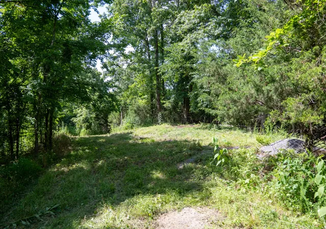 Homes for sale in Gainesboro, TN | 0 Hopkins Hollow, Gainesboro, TN 38562 | MLS# 3078894