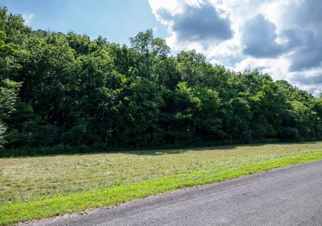 Homes for sale in Gainesboro, TN | 0 Hopkins Hollow, Gainesboro, TN 38562 | MLS# 3078894