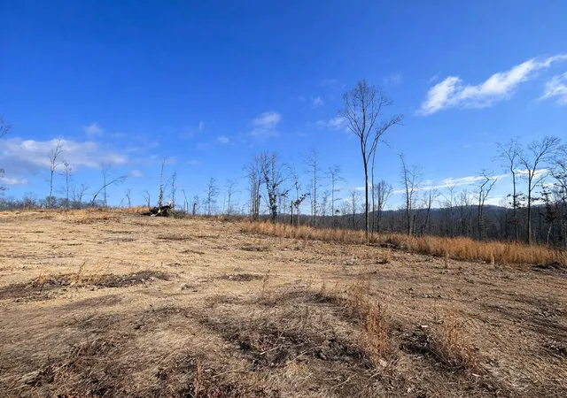 1st image of 2734 River Road, Decatur, TN 37322 | MLS# 3248885