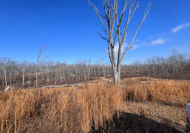Photo 4 of Land for sale at 2734 River Rd, Decatur, TN 37322 | MLS# 3248885 | Listing updated on 2026-08-13