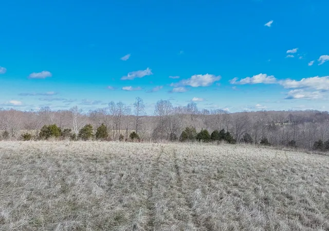 25th image of 1267 Purtle Rd, Lafayette, TN 37083 | MLS# 3079528