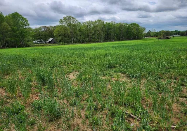 Photo 3 of Land for sale at 0 Indian Crk Rd, Huntland, TN 37345 | MLS# 3079817 | Listing updated on 2026-06-01