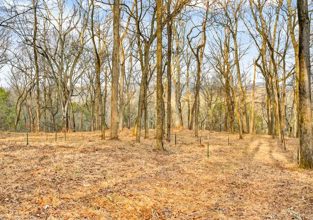 4th image of 2955 Bostic Rd, Nolensville, TN 37135 | MLS# 3083895
