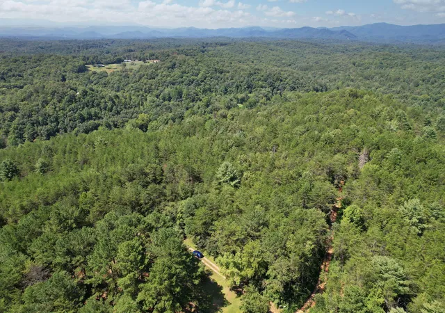 Homes for sale in Copperhill, TN | 0 Staffordtown Road, Copperhill, TN 37317 | MLS# 3221608
