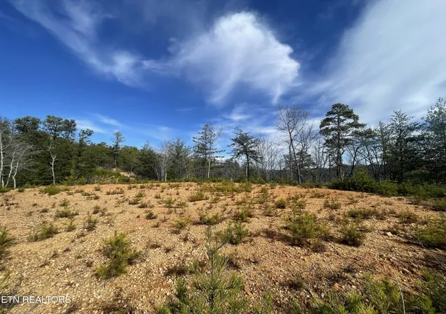 Homes for sale in Tellico Plains, TN | 36 Bullet Mountain Dr, Tellico Plains, TN 37385 | MLS# 3171937