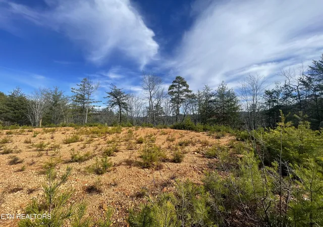 Photo 3 of Land for sale at 36 Bullet Mountain Dr, Tellico Plains, TN 37385 | MLS# 3171937 | Listing updated on 2026-06-26