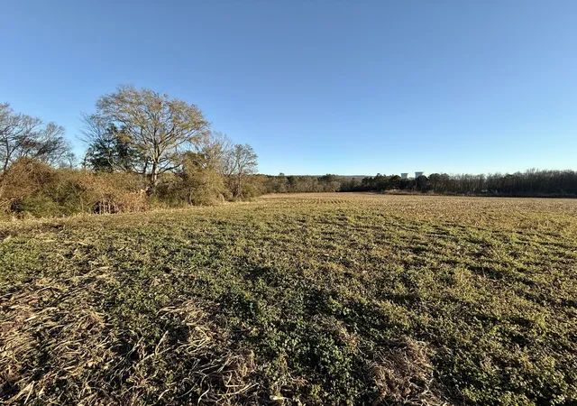 Homes for sale in Hollywood, AL | 0 Us 72, Hollywood, AL 35752 | MLS# 3093512
