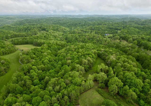 2nd image of 199 R B K Ln, Bethpage, TN 37022 | MLS# 3098042