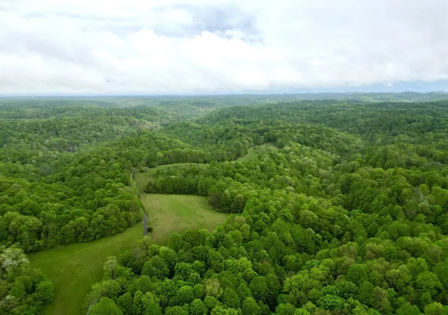 3rd image of 199 R B K Ln, Bethpage, TN 37022 | MLS# 3098042
