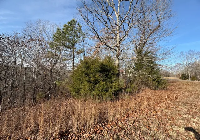 Homes for sale in Murray, KY | 0 Deepwood Dr, Murray, KY 42071 | MLS# 3093522