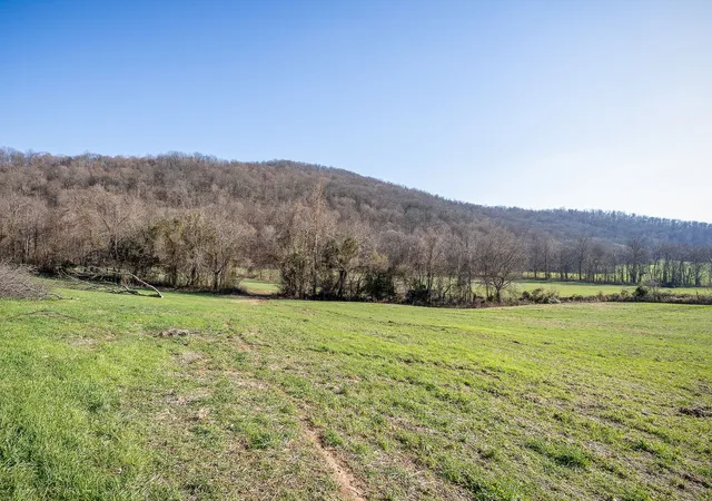 31st image of 505 Thaxton Rd, Mc Minnville, TN 37110 | MLS# 3093578