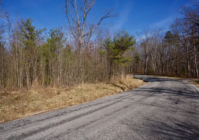 2nd image of 100a Valley View Rd, Pikeville, TN 37367 | MLS# 3093568