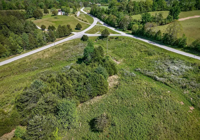 Homes for sale in Doyle, TN | 305 Caney Bend Rd, Doyle, TN 38559 | MLS# 3112767